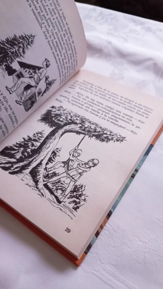 Los Hollister y el misterio del rancho