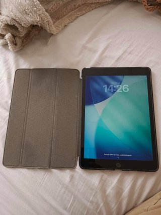 iPad 9ª Generazione grigio