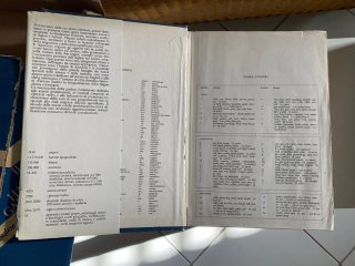 Il nuovo dizionario Inglese Hazon Garzanti