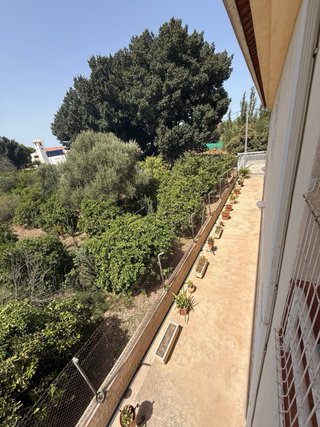 2 casas + almacen + oficina