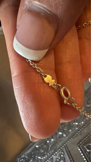 Colgante Tous Oso y Cadena Plata