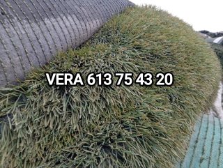 Venta césped artificial