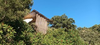 Casa de campo con finca