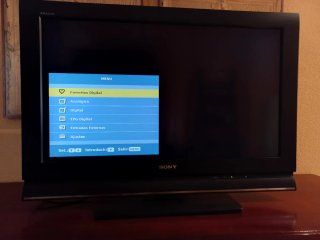 TV Sony KDL-32L4000 Negra