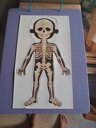 Juguete educativo cuerpo humano Imantado.