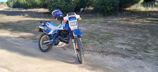 Suzuki DR 600 Djebel