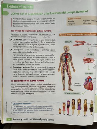 CIENCIAS DE LA NATURALEZA 6 (COMUNIDAD ZOOM)
