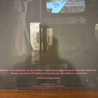 The Michael Schenker Group - Vinile LP