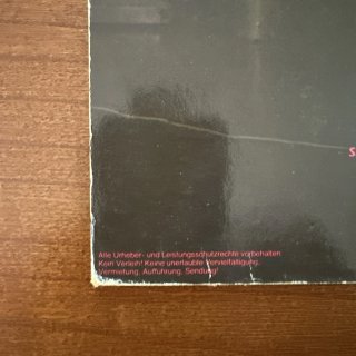 The Michael Schenker Group - Vinile LP