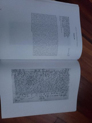 Láminas de paleografia