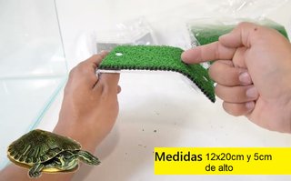 Rampa tortuga soporte plataforma tortugas grande