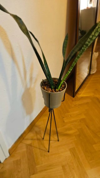 Soporte Planta Metal Negro Ferm Living Grande