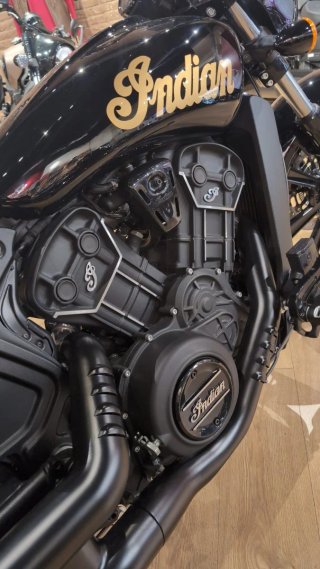 Indian Scout Rogue Negra edición especial