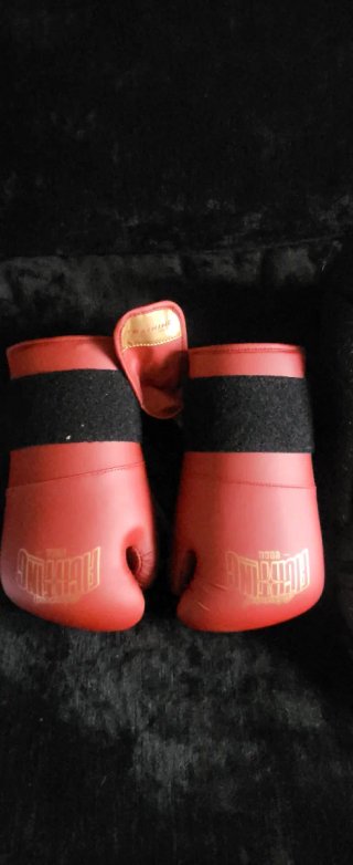 Espinilleras y Guantes Muay Thai/MMA
