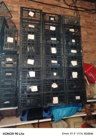 Cajas de plástico negras multiusos