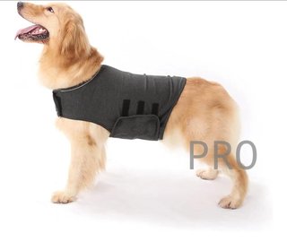 Abrigo para aliviar ansiedad perro
