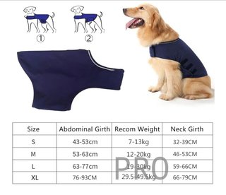 Abrigo para aliviar ansiedad perro