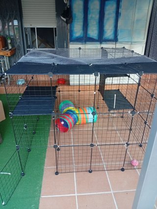 Jaula grande para gatos modular