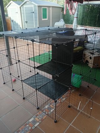 Jaula grande para gatos modular