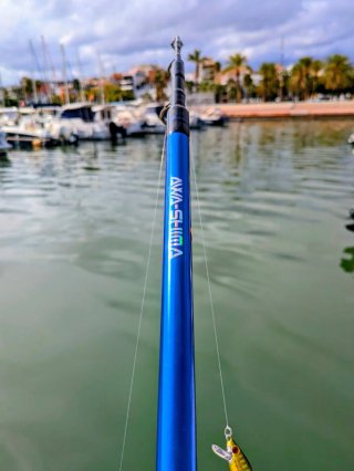 Equipo Pesca AWA SHIMA, EQUIPO PESCA SPINNING