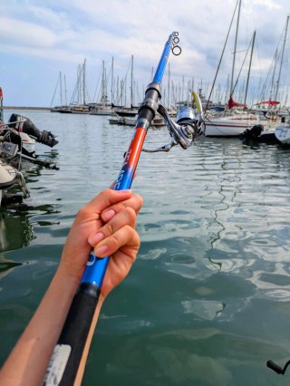 Equipo Pesca AWA SHIMA, EQUIPO PESCA SPINNING