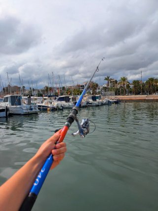 Equipo Pesca AWA SHIMA, EQUIPO PESCA SPINNING