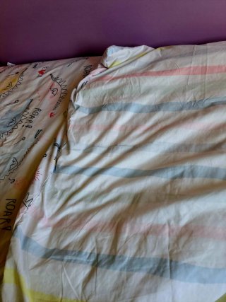 Funda nórdica y almohada dinosaurios
