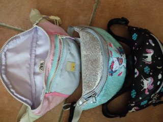 Lote Riñoneras, Mochilas y Bolsitos