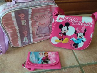 Lote Riñoneras, Mochilas y Bolsitos
