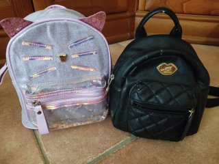 Lote Riñoneras, Mochilas y Bolsitos