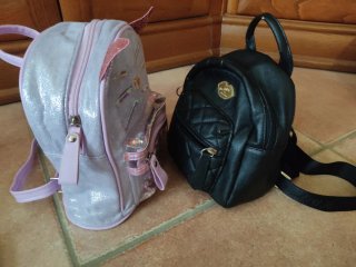 Lote Riñoneras, Mochilas y Bolsitos