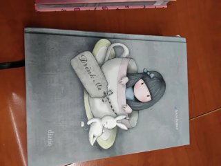 Diario Santoro Gorjuss, non datato