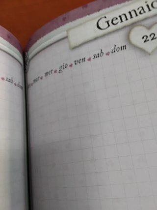 Diario Santoro Gorjuss, non datato