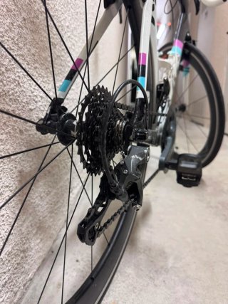 Bicicleta Liv Envie Carbono