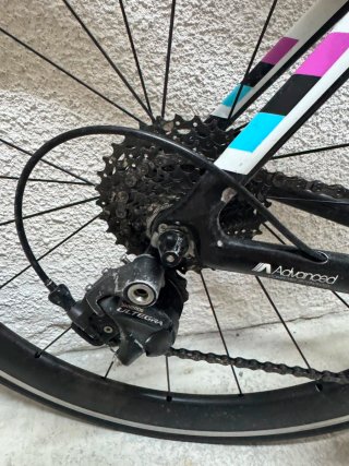 Bicicleta Liv Envie Carbono