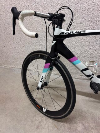Bicicleta Liv Envie Carbono