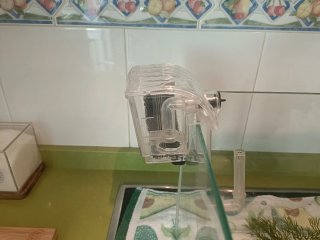Acuario pecera