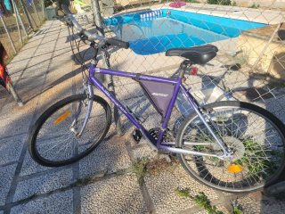 Bicicleta Orbea Morada