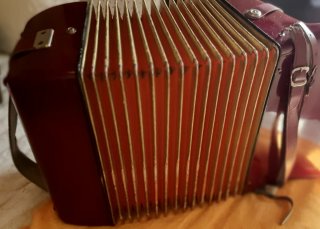 Fisarmonica Hohner Starlet 40 Bassi