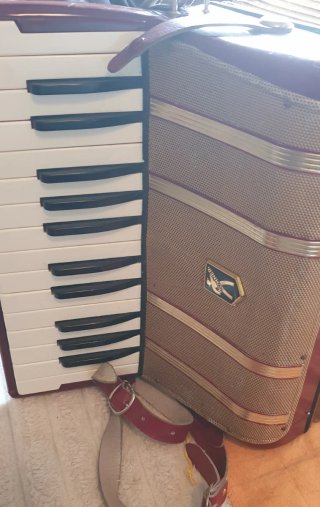 Fisarmonica Hohner Starlet 40 Bassi