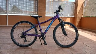 Bicicleta infantil Coluer Diva 24
