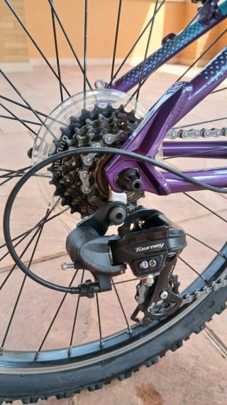 Bicicleta infantil Coluer Diva 24