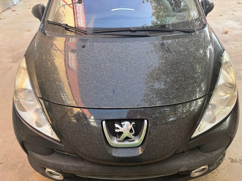 Peugeot 207 2006 - foto 1