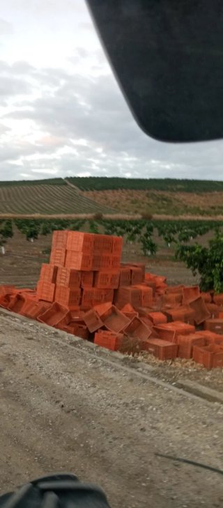 Cajas Cuneras Naranja