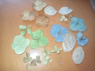 Scatola Fiori Secchi Ortensie e Lunaria. ARTIGIANA