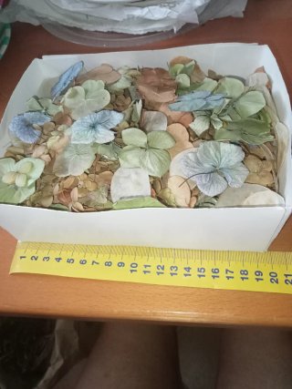 Scatola Fiori Secchi Ortensie e Lunaria. ARTIGIANA