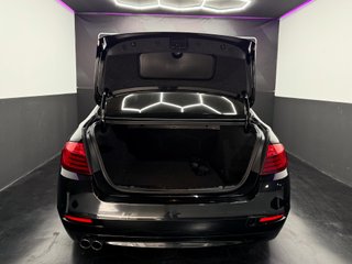 BMW Serie 5 520d