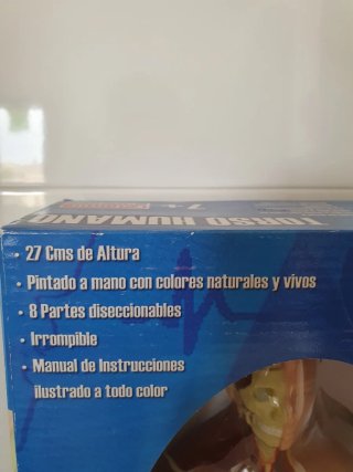 Maqueta Cuerpo Humano Anatomía NUEVO
