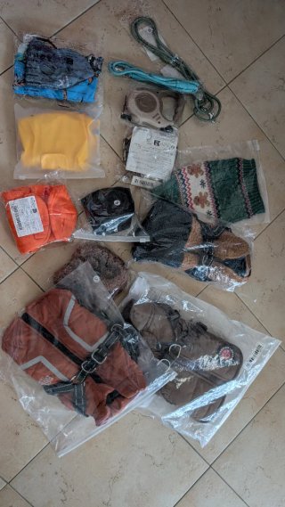 Accessori e vestiti per cuccioli
