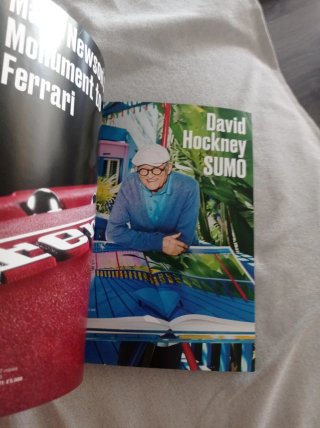 Catálogo promocional Helmut Newton. Baby Sumo.TASC